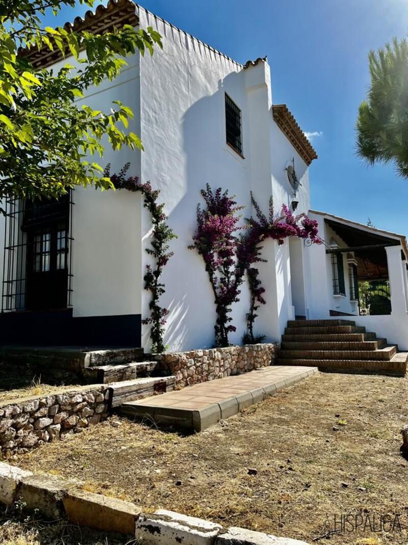 3 Cuarto Villa en venta