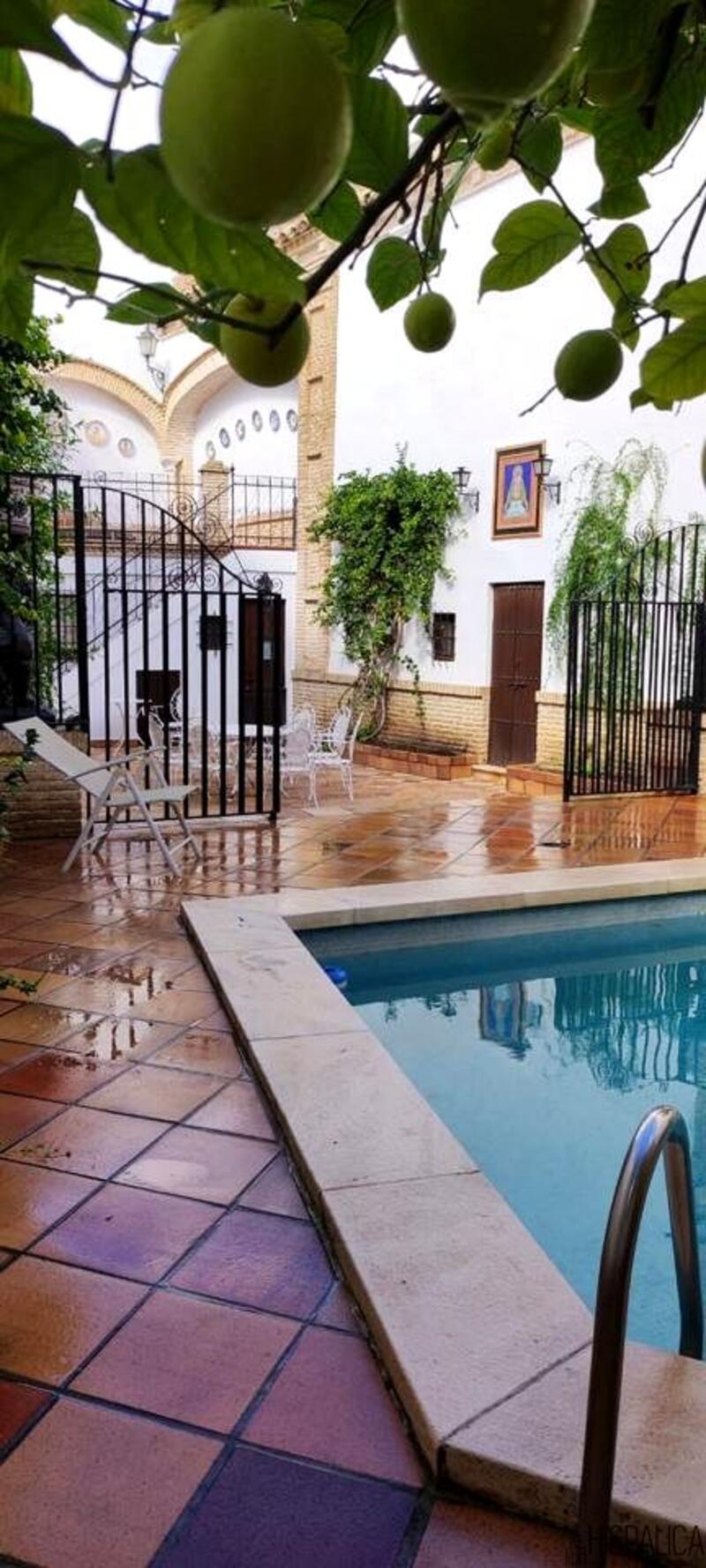 Villa à vendre dans Ecija, Sevilla