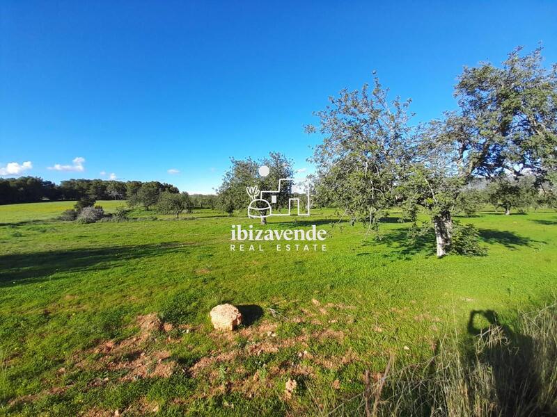 Country House for sale in Sant Joan de Labritja, Ibiza