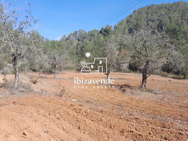 Herregård til salgs i Cala de San Vicente Ibiza, Ibiza