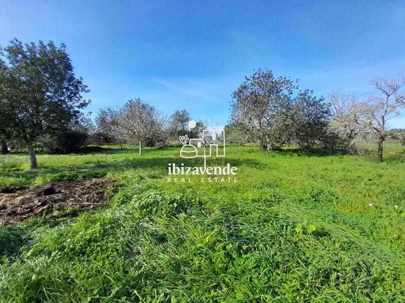 Herregård til salgs i Sant Llorenç de Balàfia, Ibiza