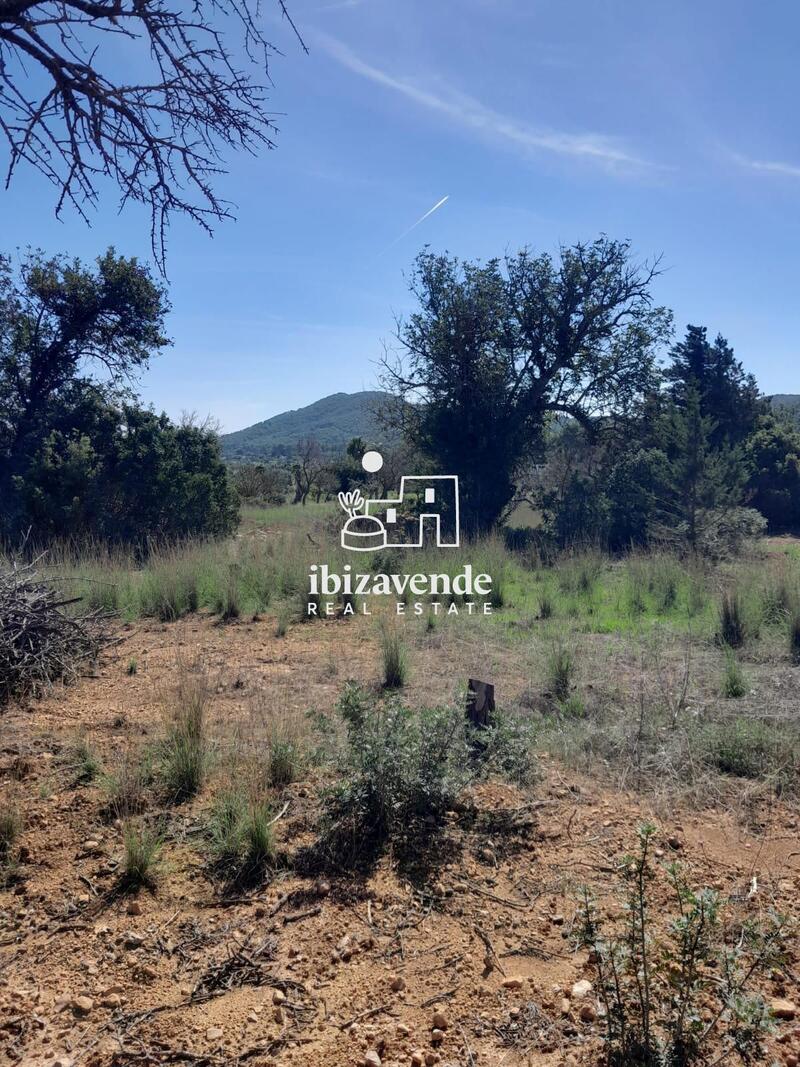 Auberge à vendre