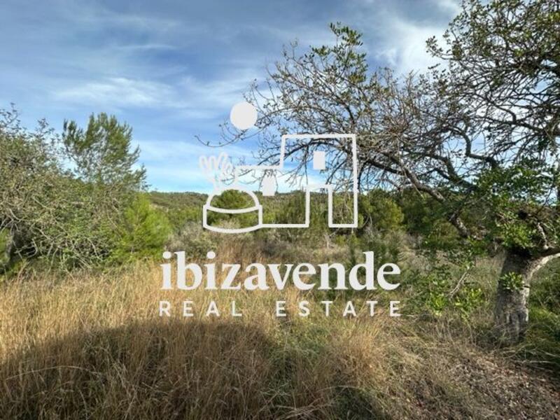 Country House for sale in Sant Rafel de Sa Creu, Ibiza