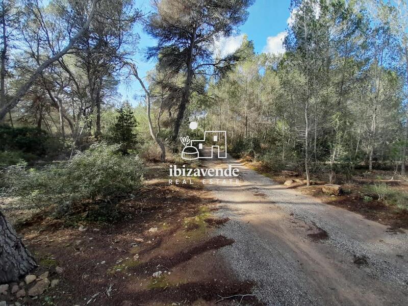 Auberge à vendre