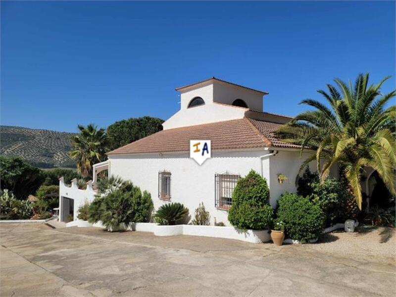 Villa til salg i Iznajar, Córdoba