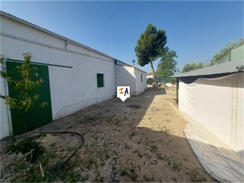 Local Comercial en venta