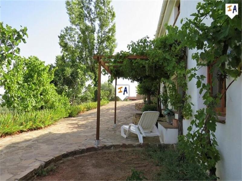 Country House for sale in Huelma, Jaén