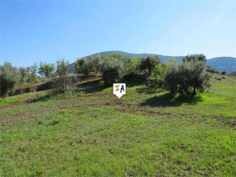 Land for sale in Las Casillas de Martos, Jaén