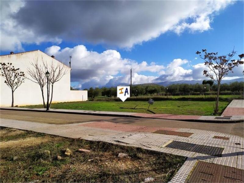 Land for sale in Salinas, Málaga