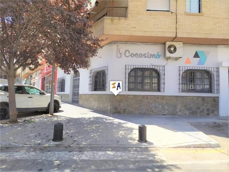 Kommersiella fastigheter till salu i Loja, Granada