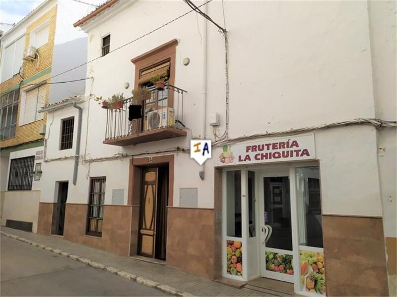 Stadthaus zu verkaufen in Iznajar, Córdoba