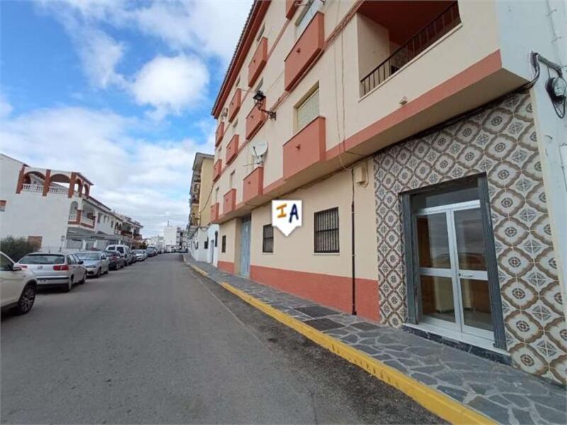 Appartement zu verkaufen in Canillas de Aceituno, Málaga