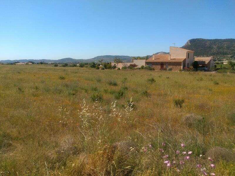 Grundstück zu verkaufen in Aspe, Alicante