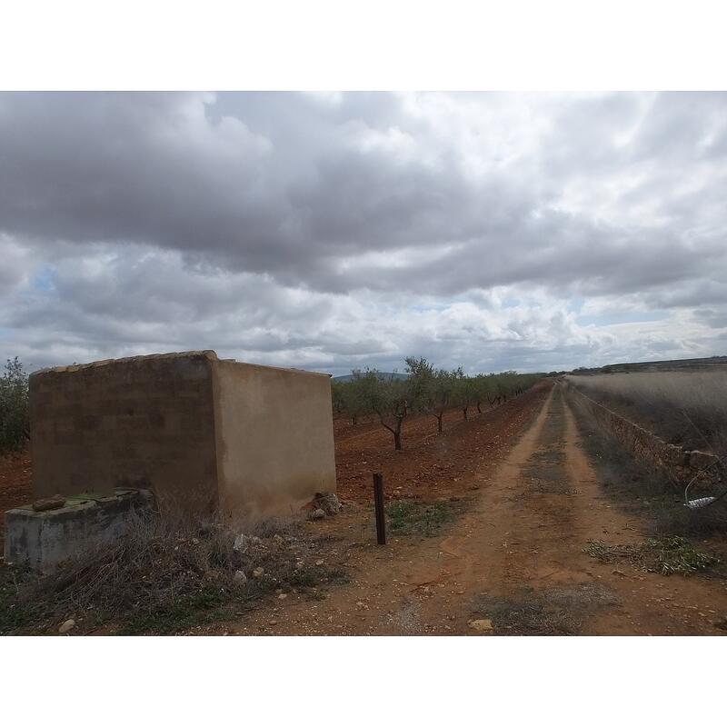 земля продается в Raspay, Murcia