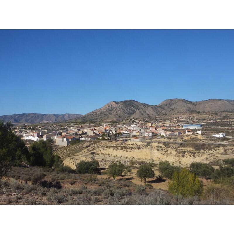 земля продается в La Zarza de Abanilla, Alicante