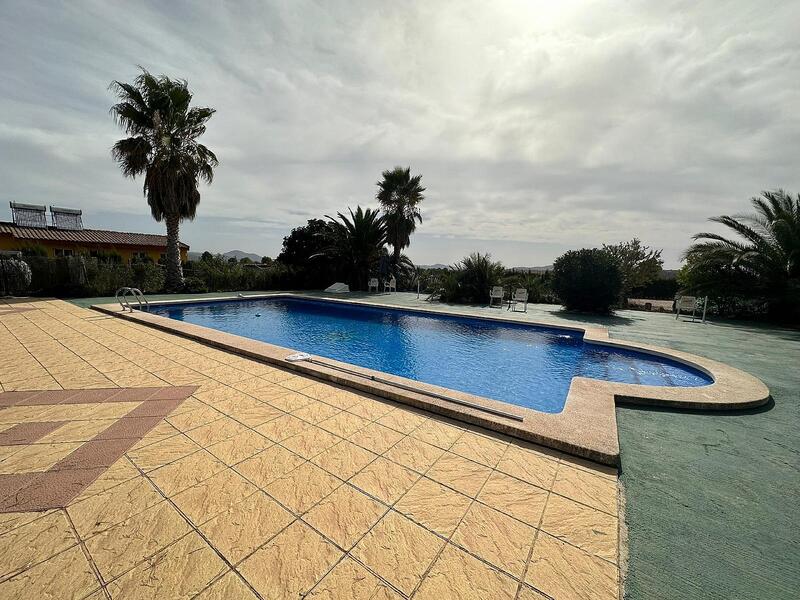 Коммерческая недвижимость продается в Pinoso, Alicante