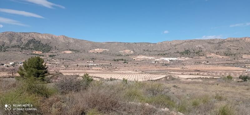 Grundstück zu verkaufen in La Romana, Alicante