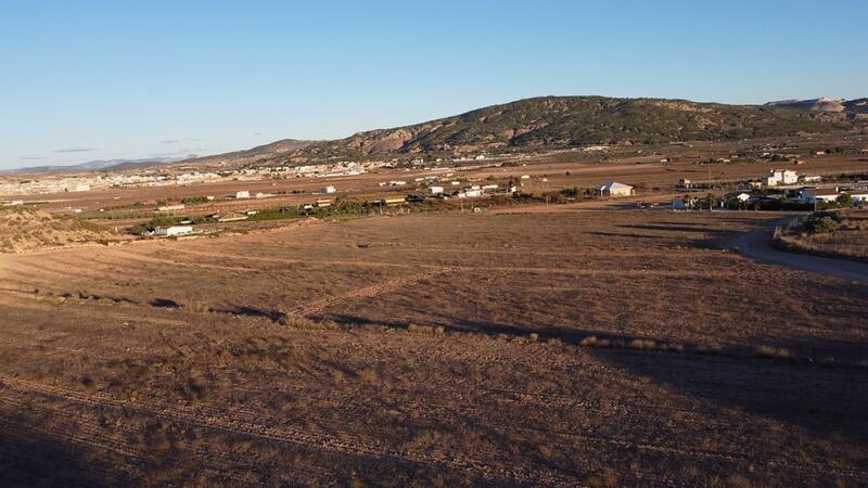Terrain à vendre dans Pinoso, Alicante