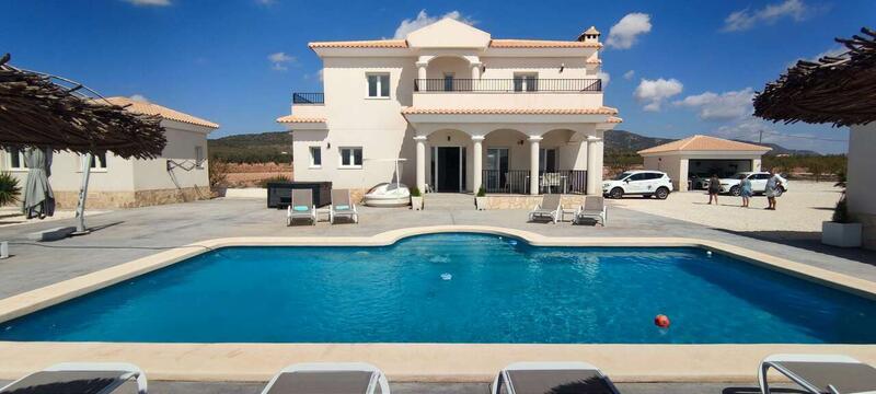 Villa for sale in Pinoso, Alicante