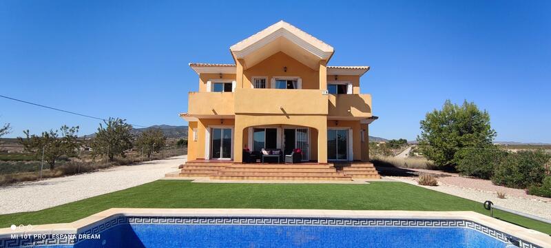 Villa for sale in Pinoso, Alicante