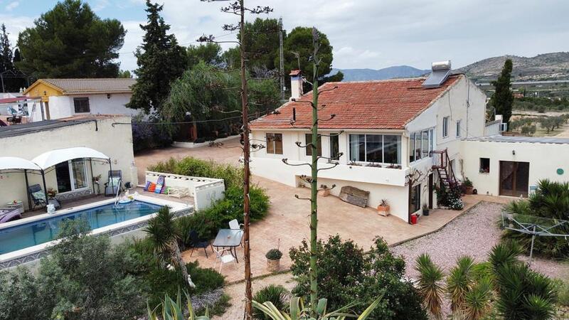 Villa à vendre dans Sax, Alicante