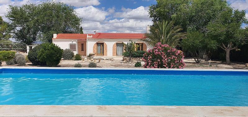 Villa for sale in Caudete, Albacete