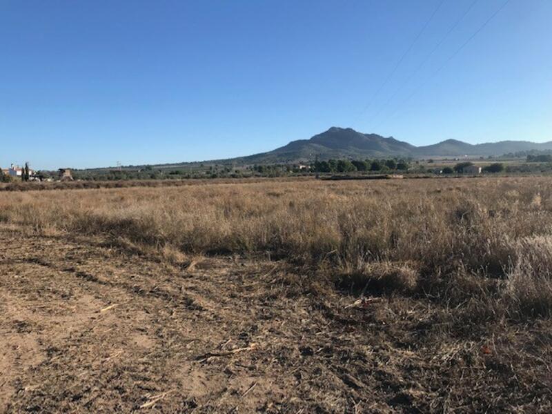 Land for sale in Salinas, Alicante