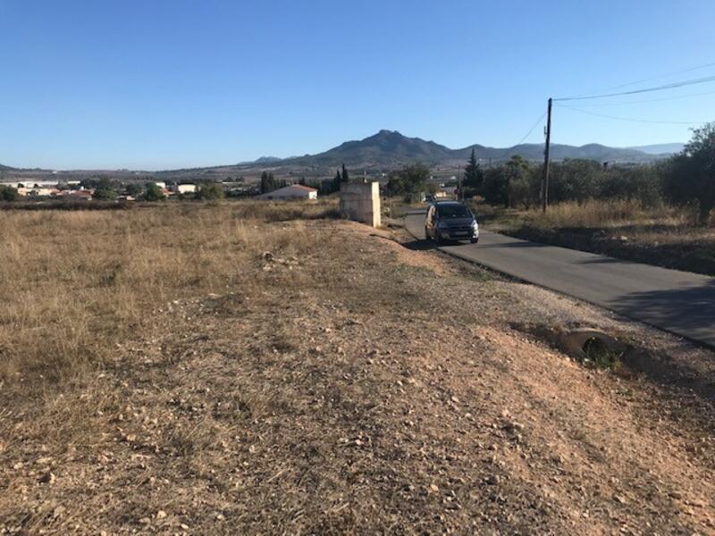 Terrenos en venta en Salinas, Alicante