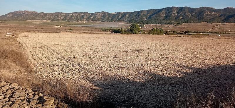 Terrenos en venta en Salinas, Alicante