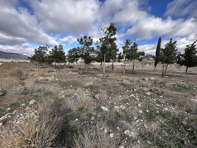 Landa till salu i Salinas, Alicante