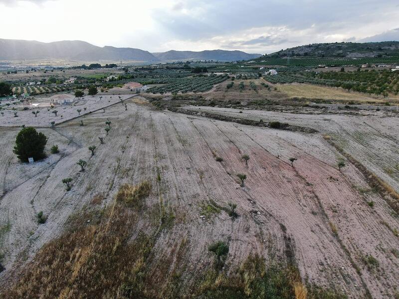 Land Te koop in Salinas, Alicante