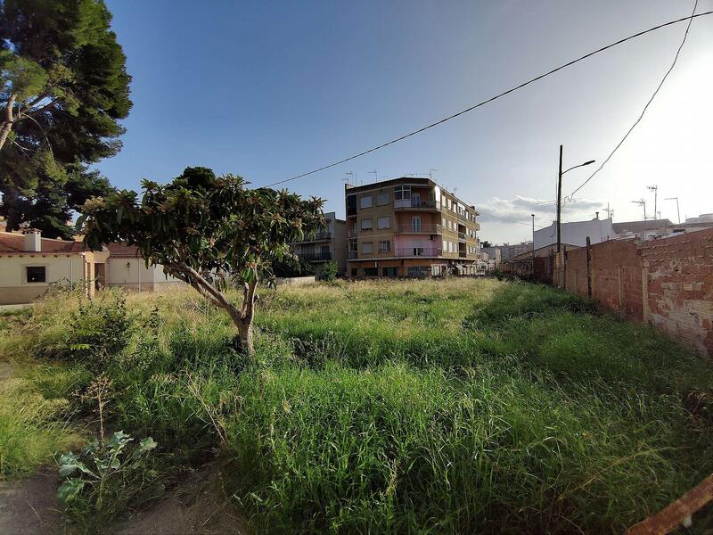 Land for sale in Monóvar, Alicante