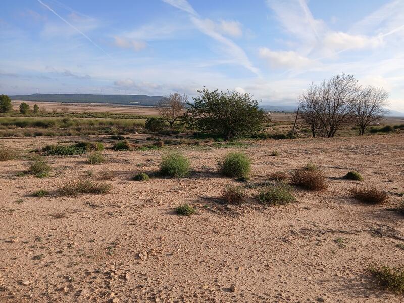 Land for sale in Yecla, Murcia