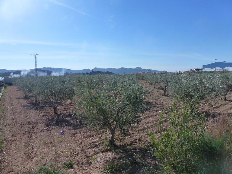 Land for sale in Macisvenda, Murcia