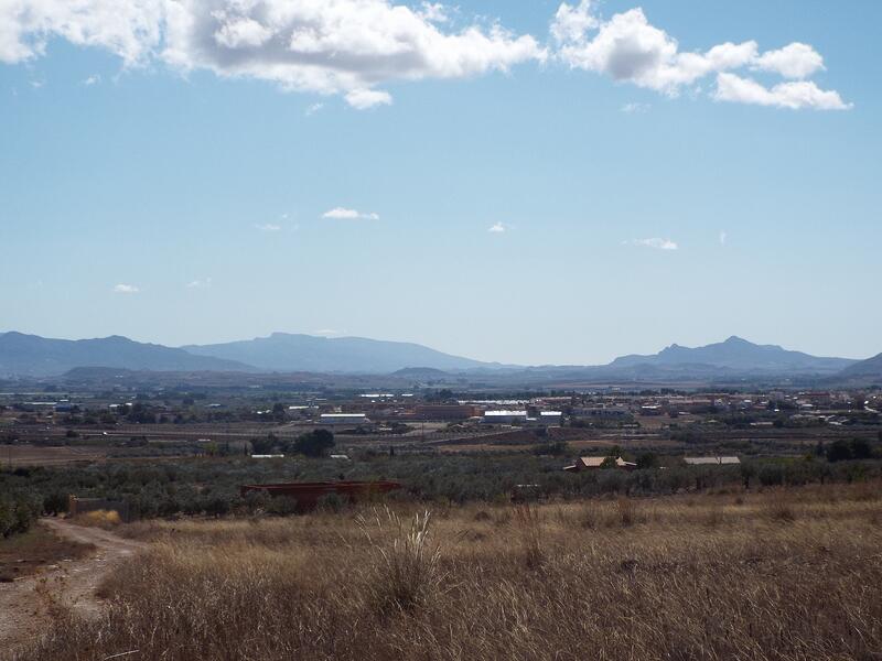 Land for sale in Caudete, Albacete