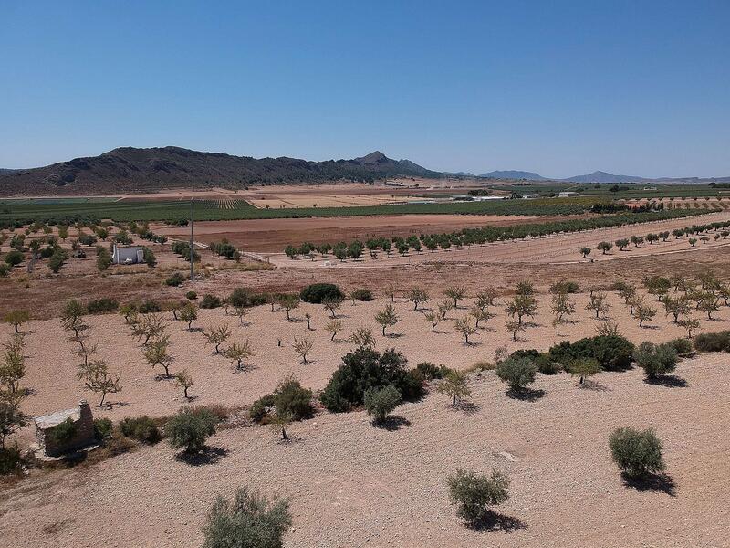 Land for sale in Caudete, Albacete