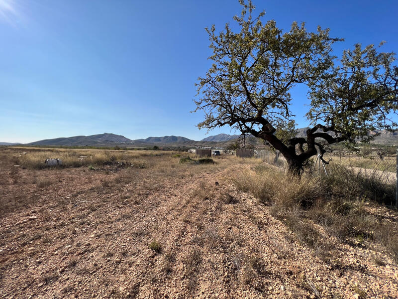 Land Te koop in Hondon de las Nieves, Alicante