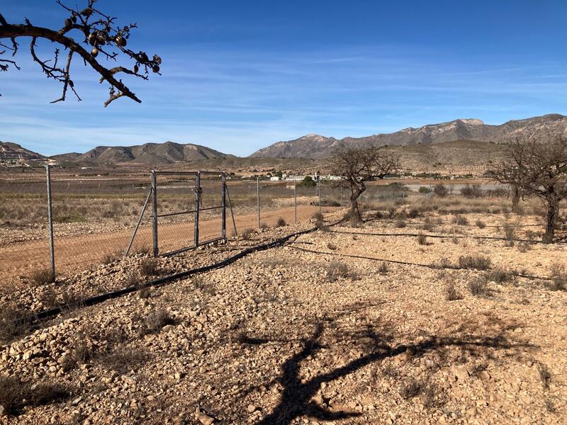 Landa till salu i Hondon de las Nieves, Alicante