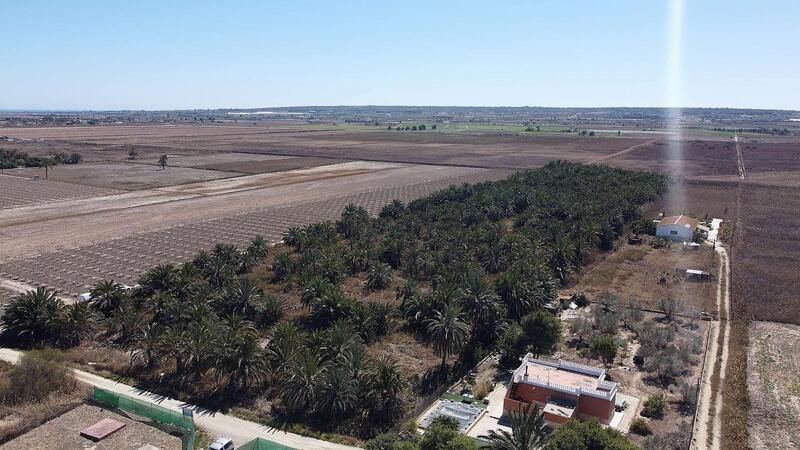 Landa till salu i Elx/Elche, Alicante