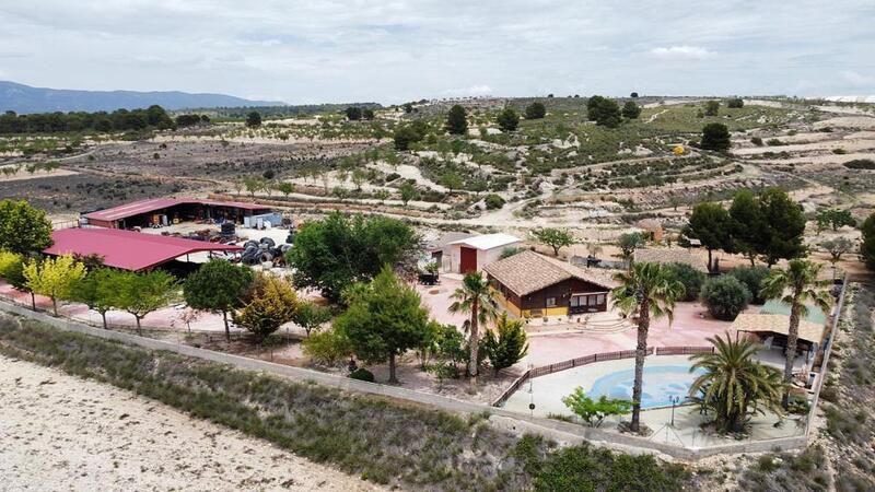 Villa en venta en Pinoso, Alicante