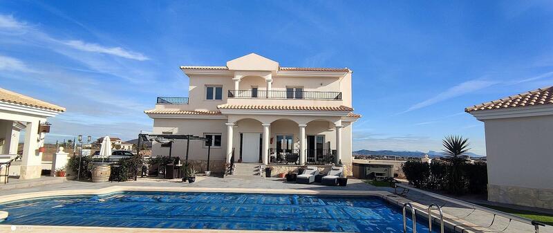 Villa for sale in Pinoso, Alicante