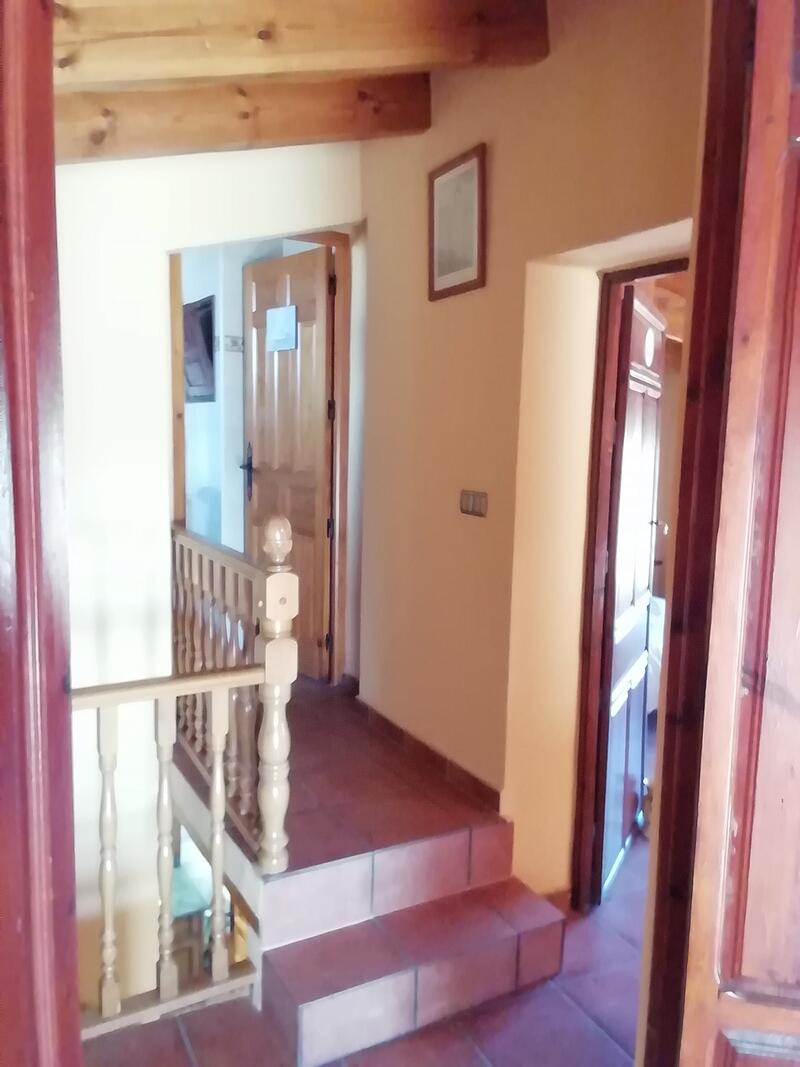 5 Cuarto Villa en venta