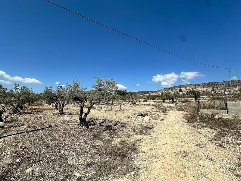 1 Cuarto Casa de Campo en venta