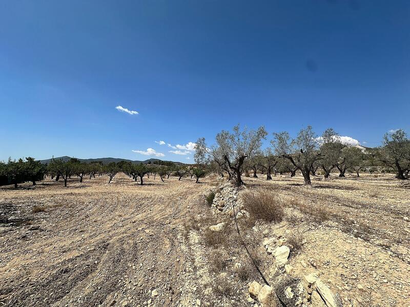 1 Cuarto Casa de Campo en venta