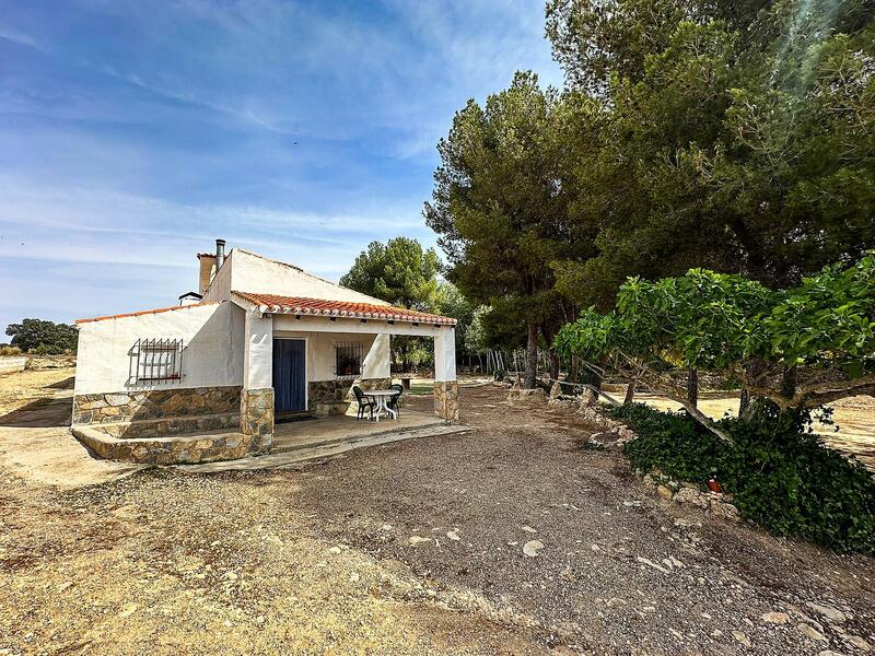 Auberge à vendre dans Almansa, Albacete