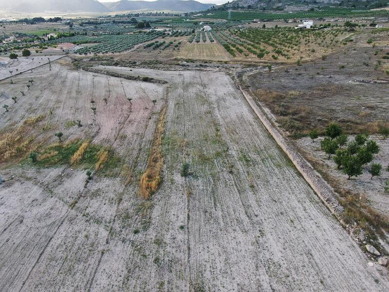 Terrenos en venta