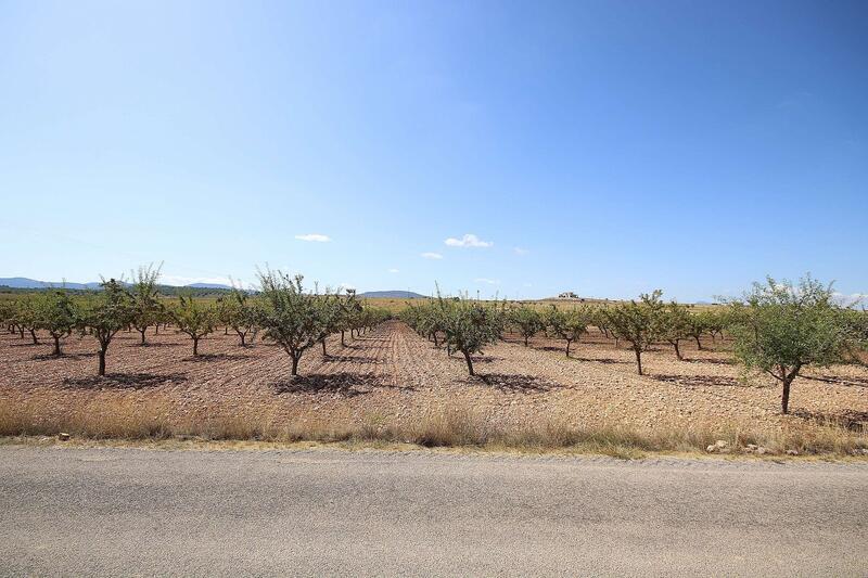 Land for sale in Pinoso, Alicante