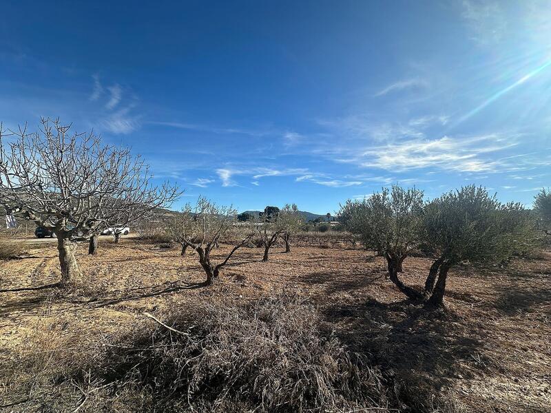 Terrain à vendre