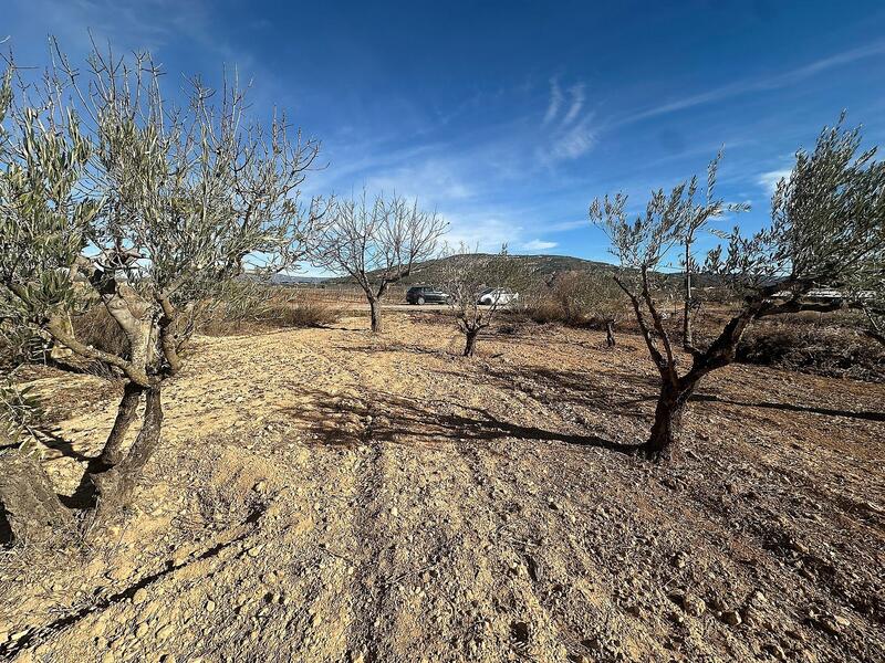 Terrain à vendre