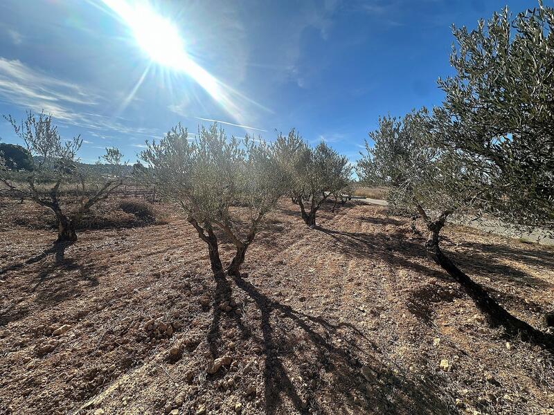 Terrenos en venta